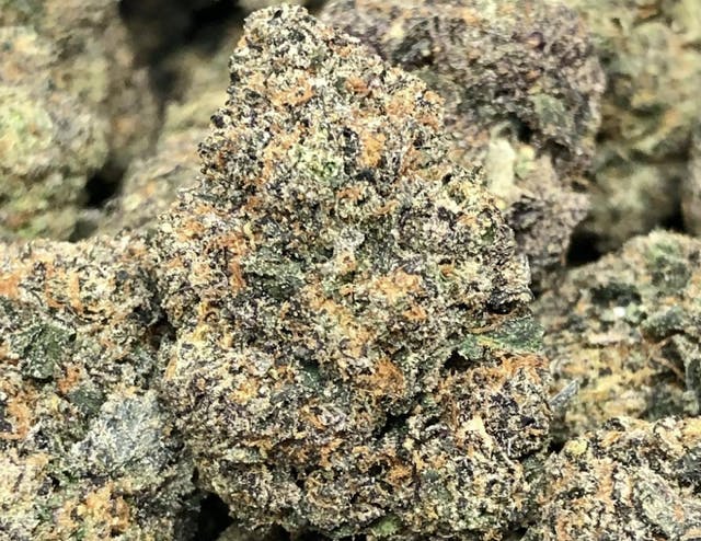 GMO COOKIES 31.02%