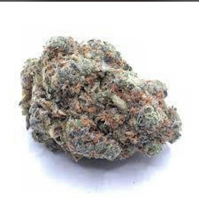 PLATINUM SUGAR COOKIES HYBRID