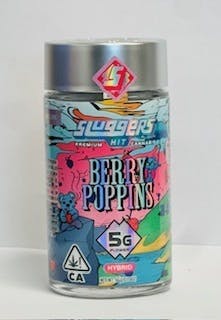 Sluggers Hit — Berry Poppins