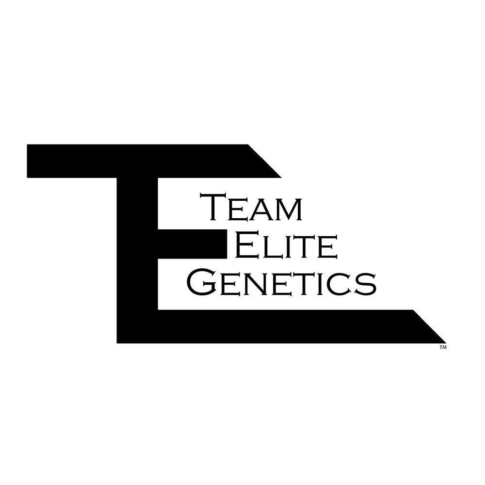Team Elite Genetics — Cheese Loaf
