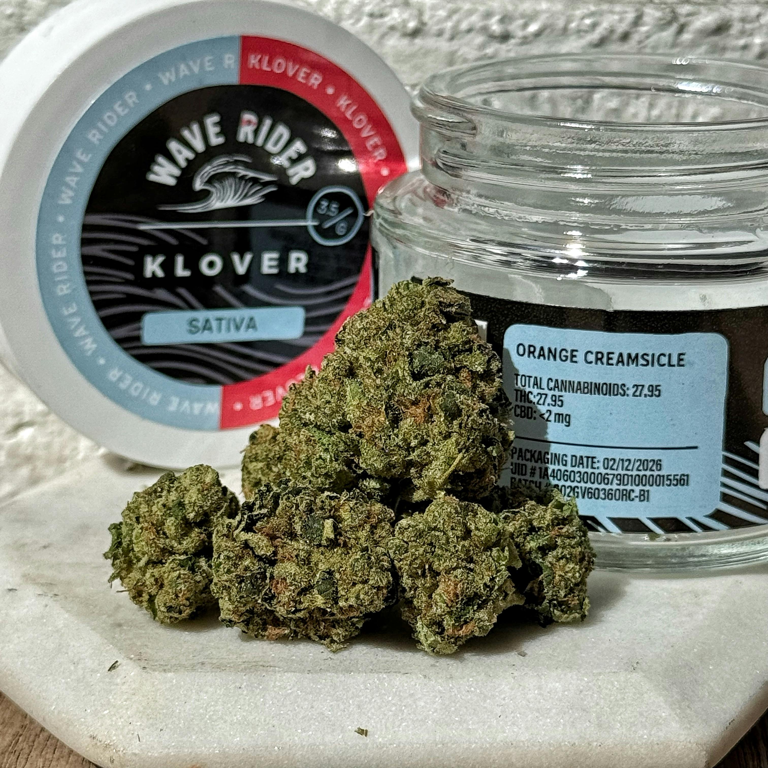 WAVE RIDER X — Orange Creamsicle