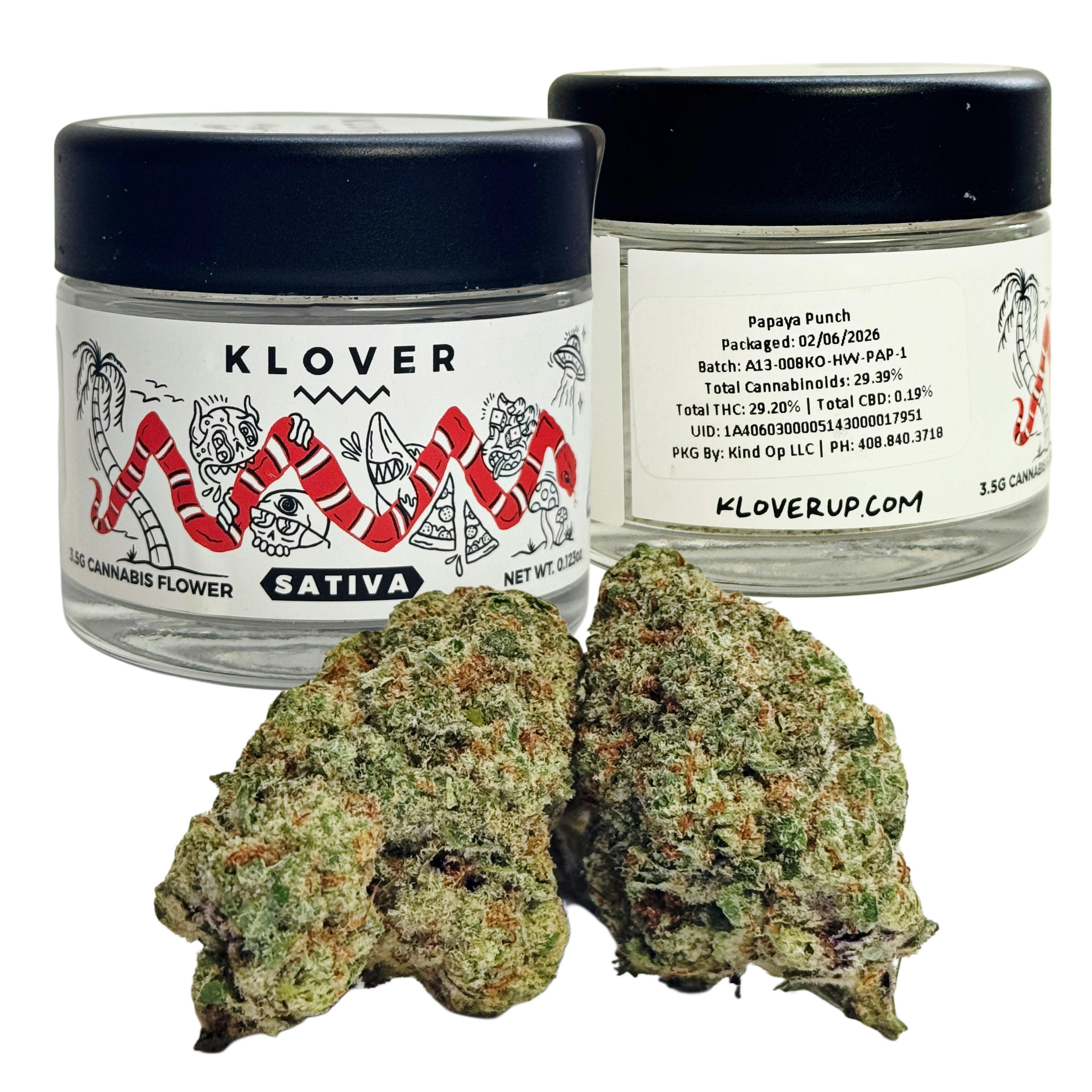 Papaya Punch — Papaya Punch