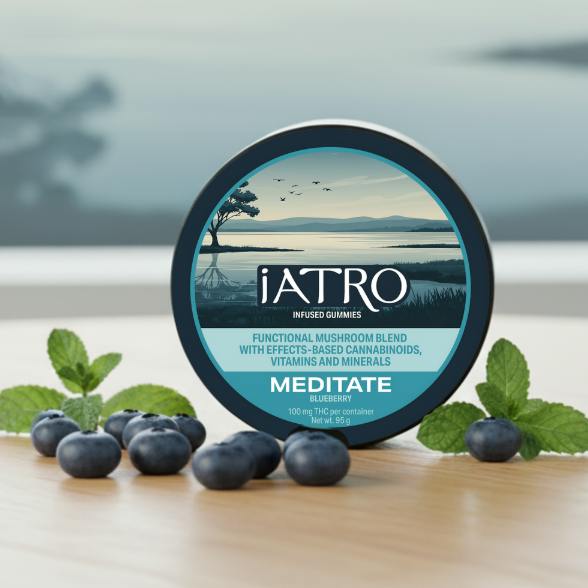 Blueberry Meditate Gummies | 100mg/ea
