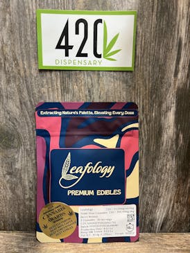 LEAFOLOGY 300MG BERRY STONED GUMMIES