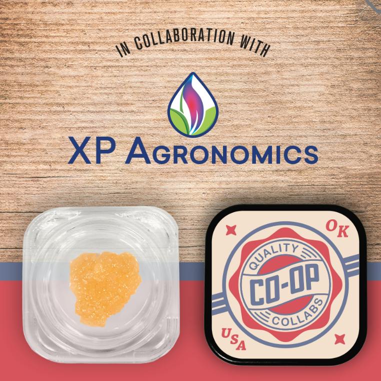 CO-OP x XP Agronomics | Lemon Meringue | Sugar | 2g