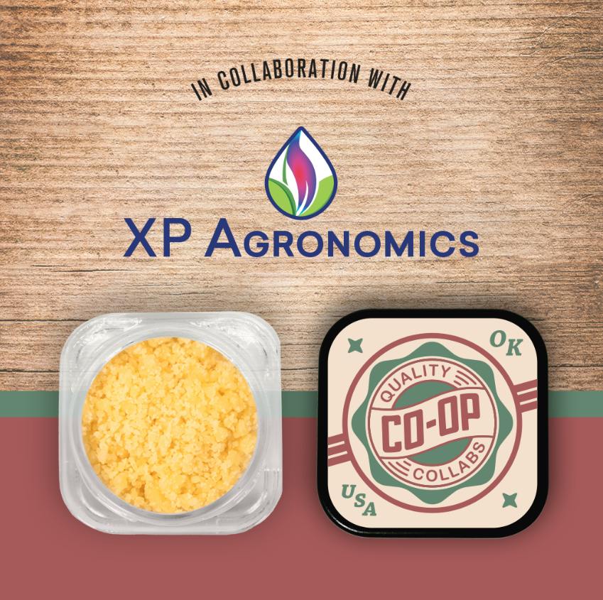 CO-OP x XP Agronomics | Gelato King | Sugar | 4g
