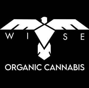 Syrup 54 | Solventless | Rosin | 1g by Wise