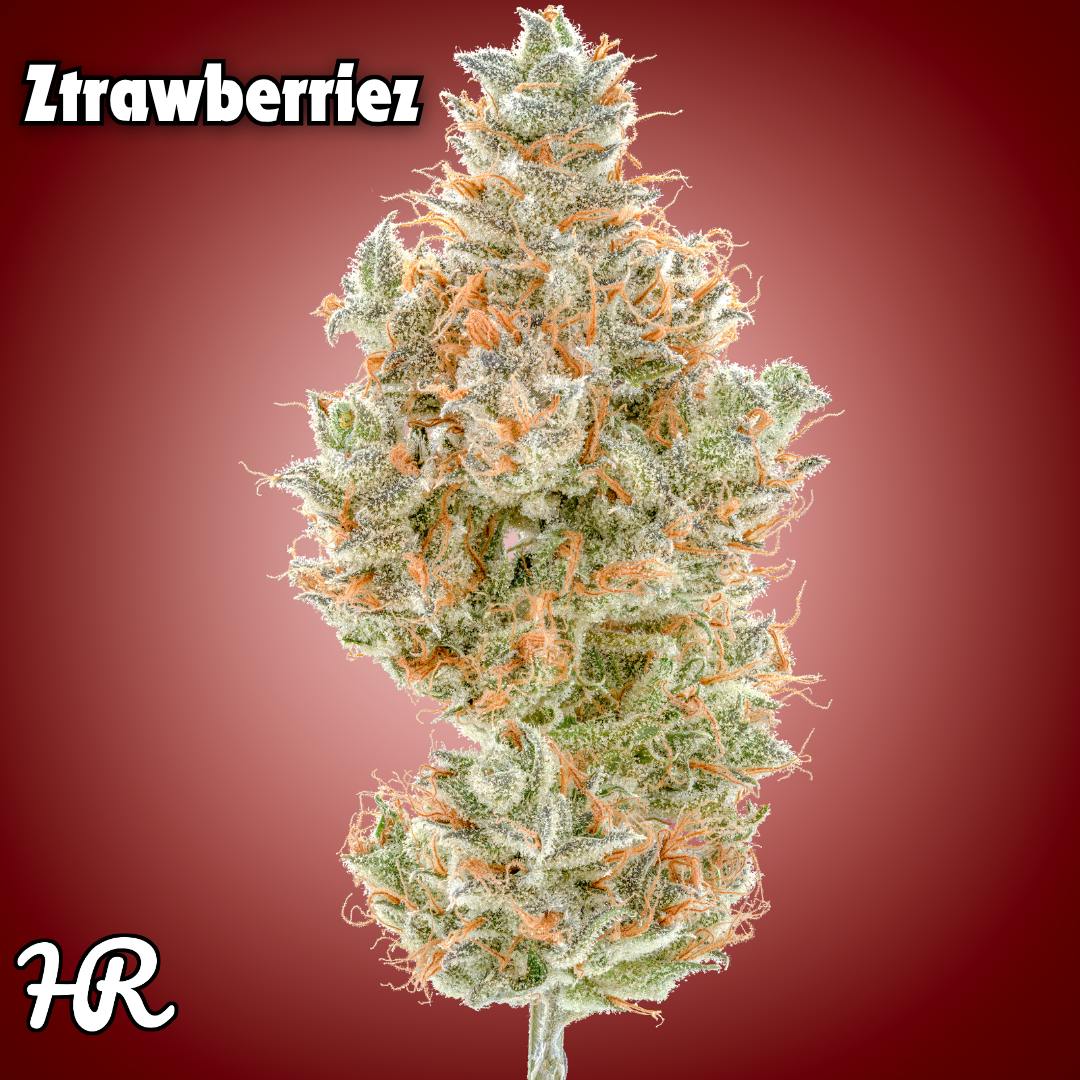 Ztrawberriez 3.5 Prepack | High Rise Cannabis