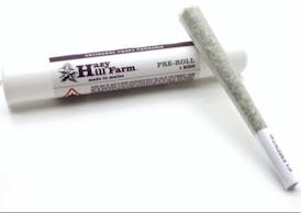 Kerosene Dream 1g Preroll - Hazy Hill