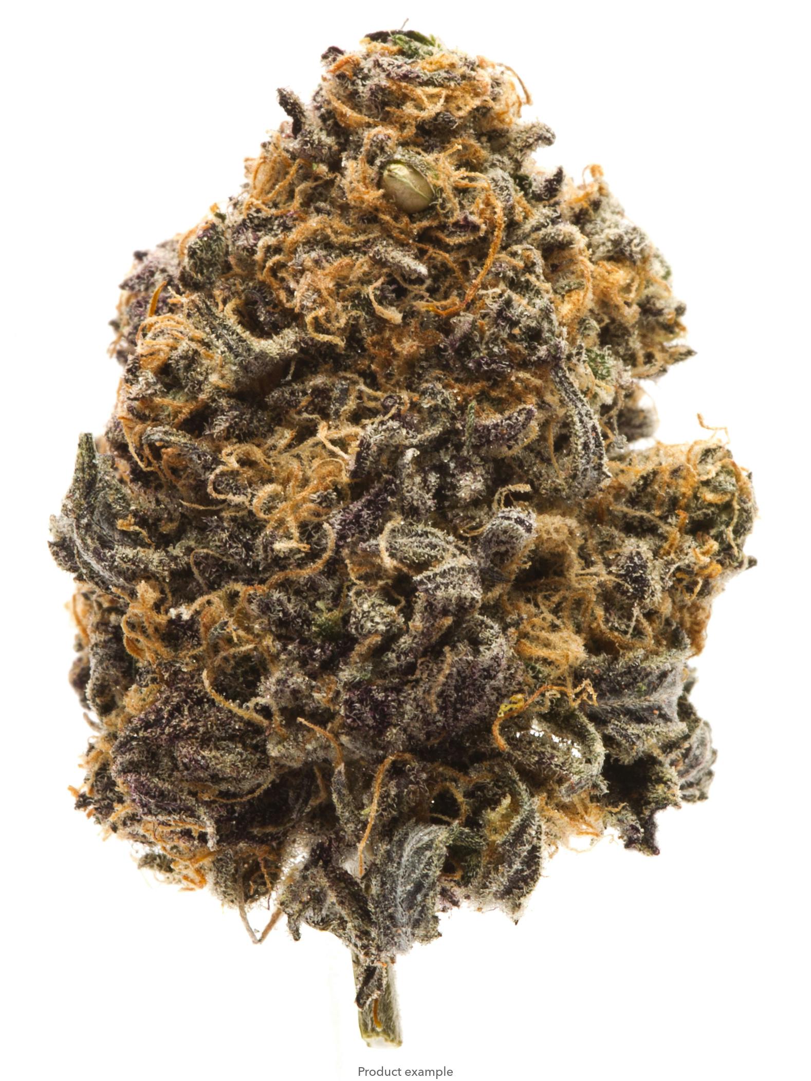 Trop Tsunami 35gm