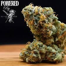 Cherry Poppin Daddy | Big Buds | 28g