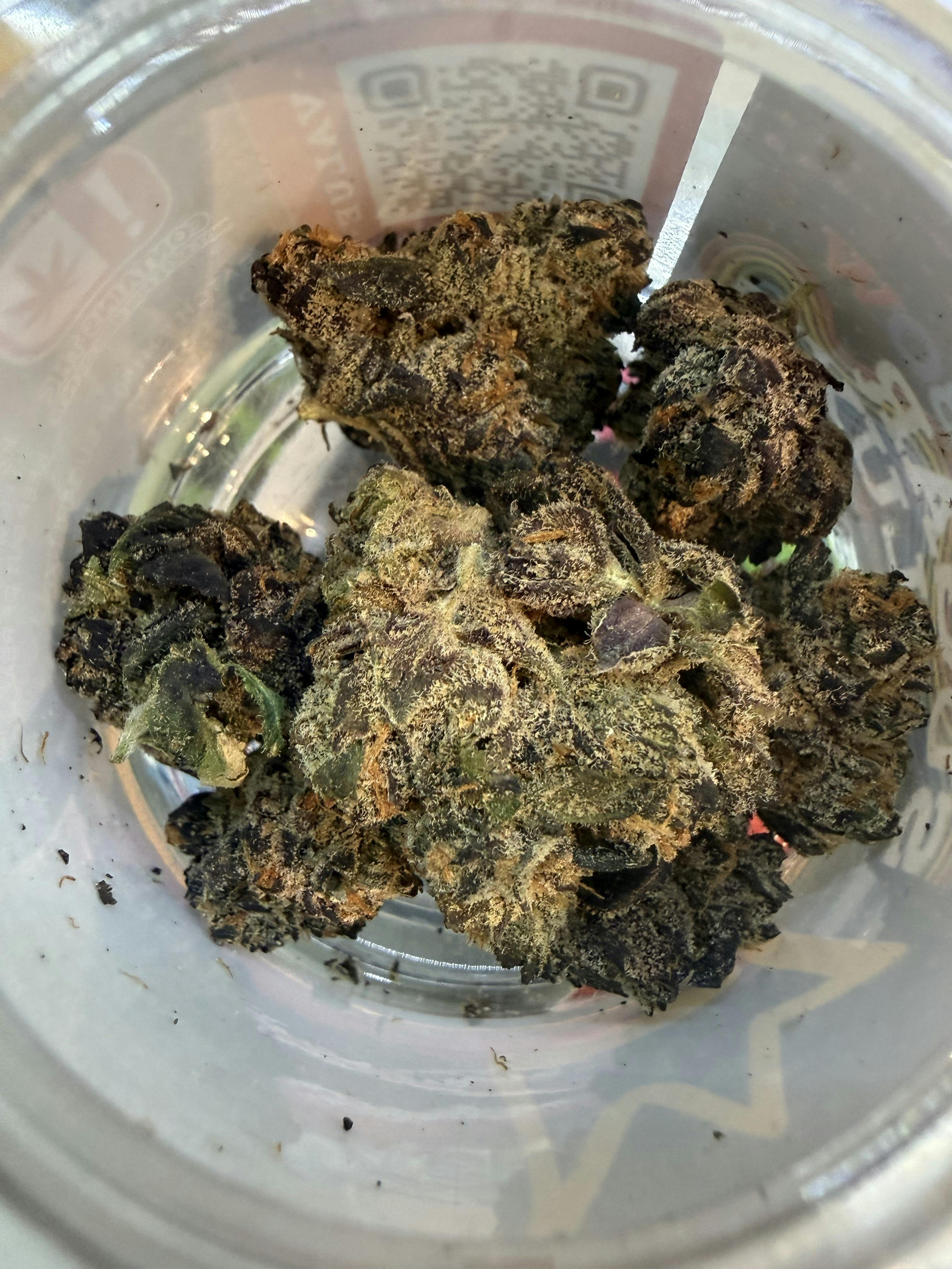 Rainbow Sugar Luxe | Value Big Buds | 3.5g