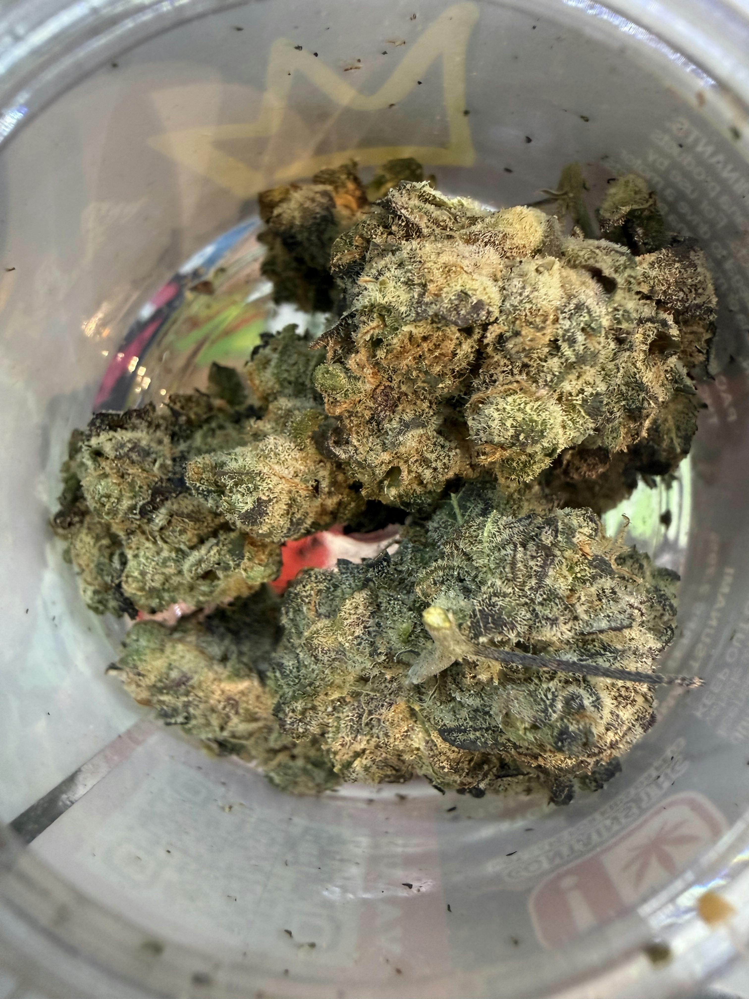 Animal Tsunami | Value Big Buds | 3.5g