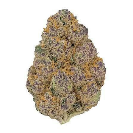 Garlic Icing | Big Buds | 3.5g