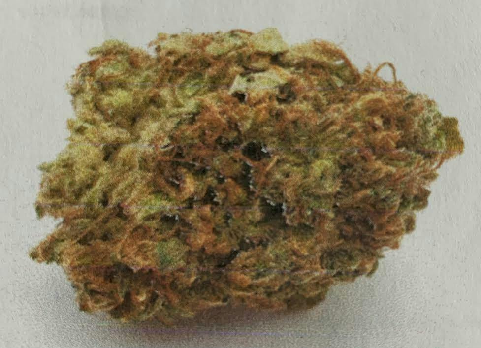 Trainwreck- BRONZE