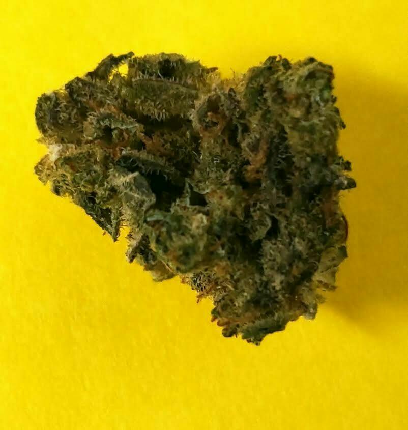 Northern Lights- BRONZE