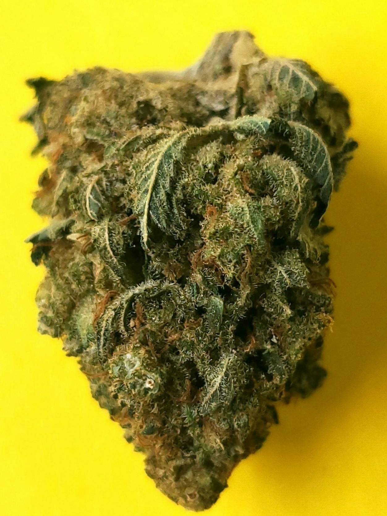 Northern Lights- SILVER
