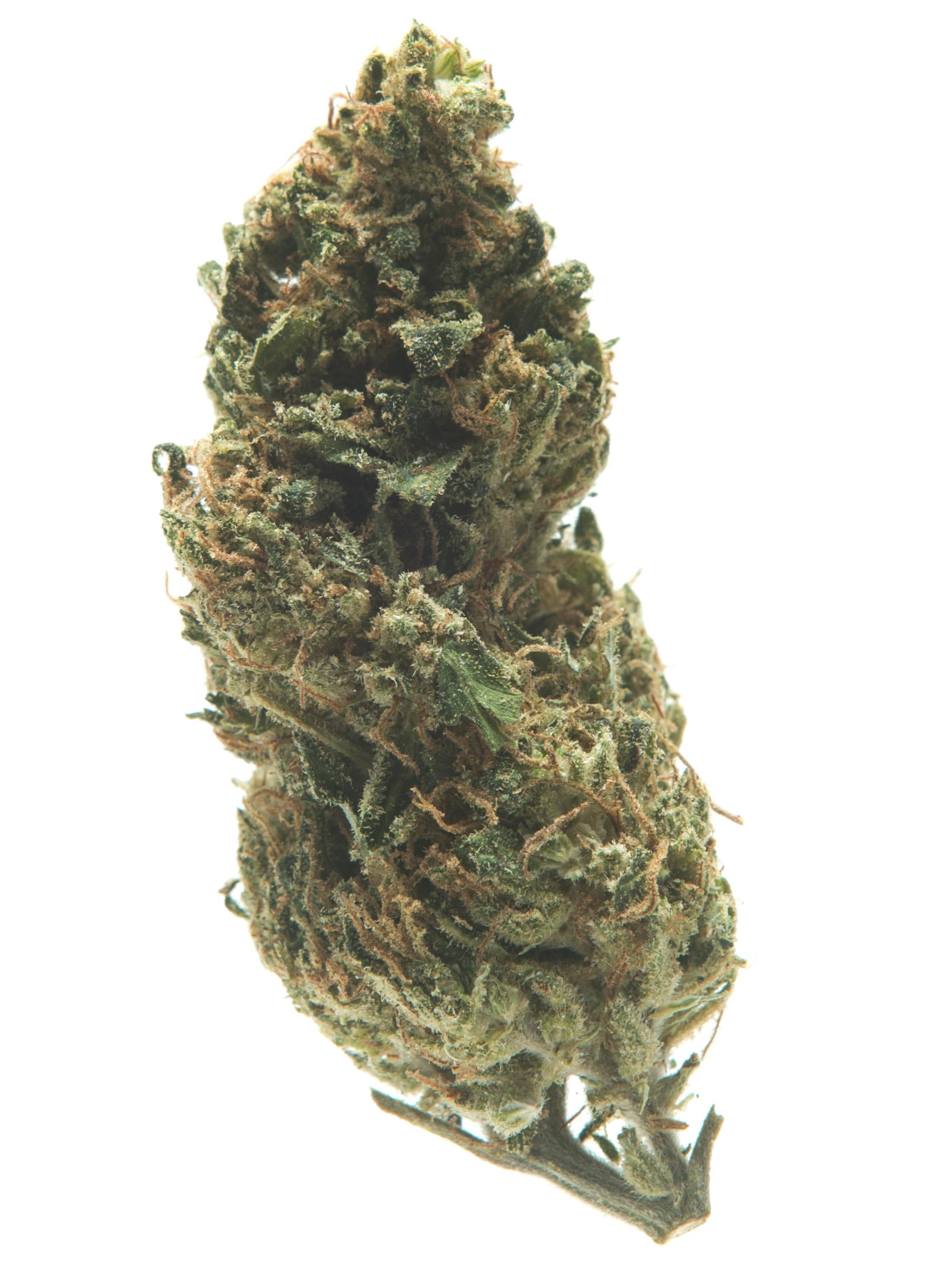 SourAl at AKO FARMS DIRECT