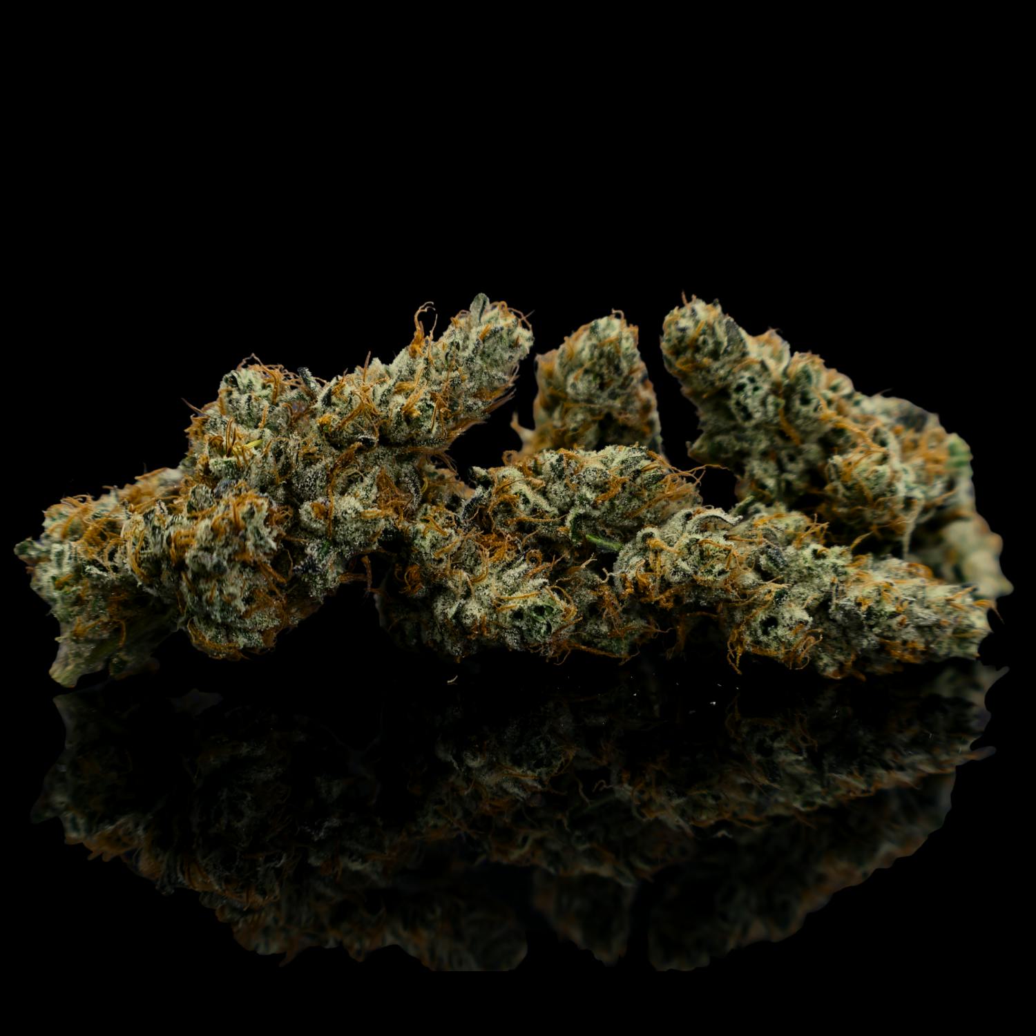 Zenoa | Sour Dough | 14g | Big Buds | Terp 3.09