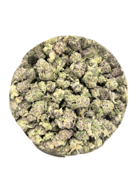Chimera (SB) - Hybrid Flower