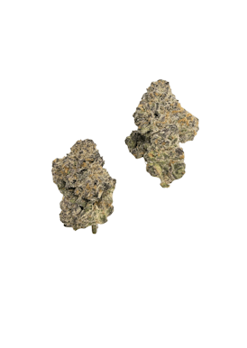 Scented Marker - Hibrido/Indica Flor