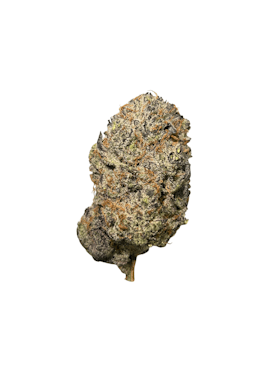Cap Junky - Indico/Hibrido