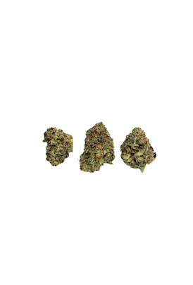Double Runtz - Hibrida Flor