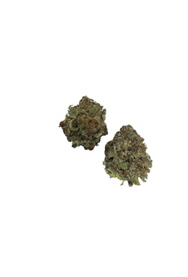 Tropicana Cherry - Hibrida Flor