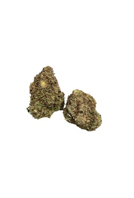Candy Bezel - Indica/Hibrida Flor