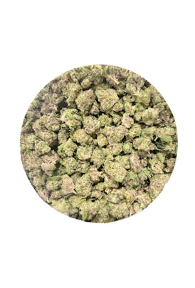 Coconut Cream - Indica Flor