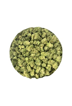 Cannasseur OG - Indica Flor