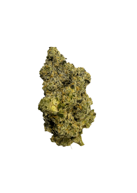 Puerto Rico Kush - Sativa Flor