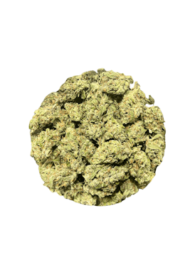 Jack Herer - Hibrida Flor