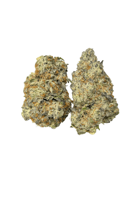 Garlic Crusher - Indica Flor