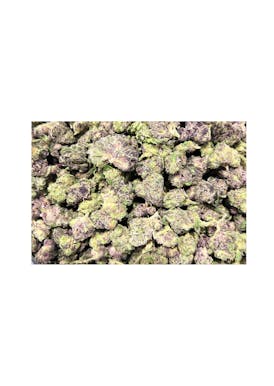 Glitter Bomb - Hibrida/Indica Flor