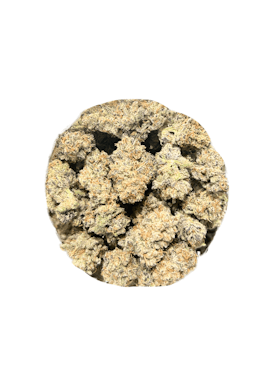 Dante's Inferno #8 - Indica Flor