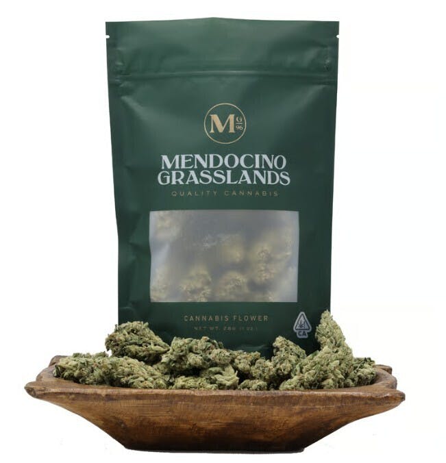 Mendocino Grasslands — Its It