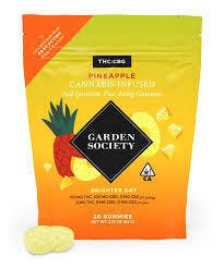 Garden Society - — Pineapple