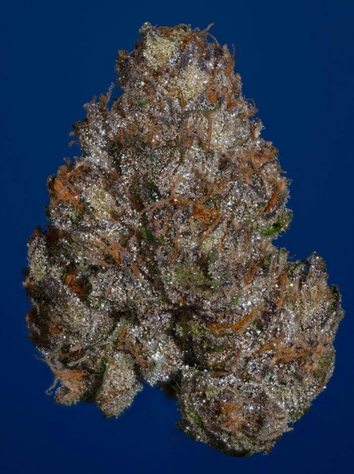 THICC Clout Nine | (3.5G) INDICA