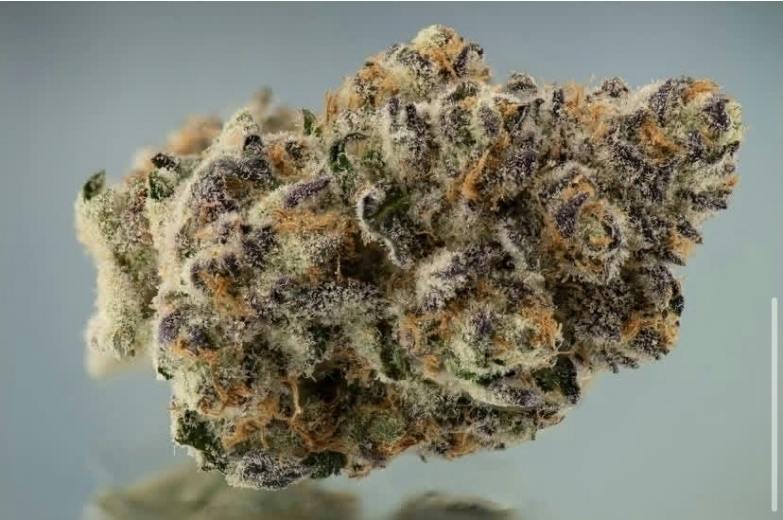 Tangie | 3.5g