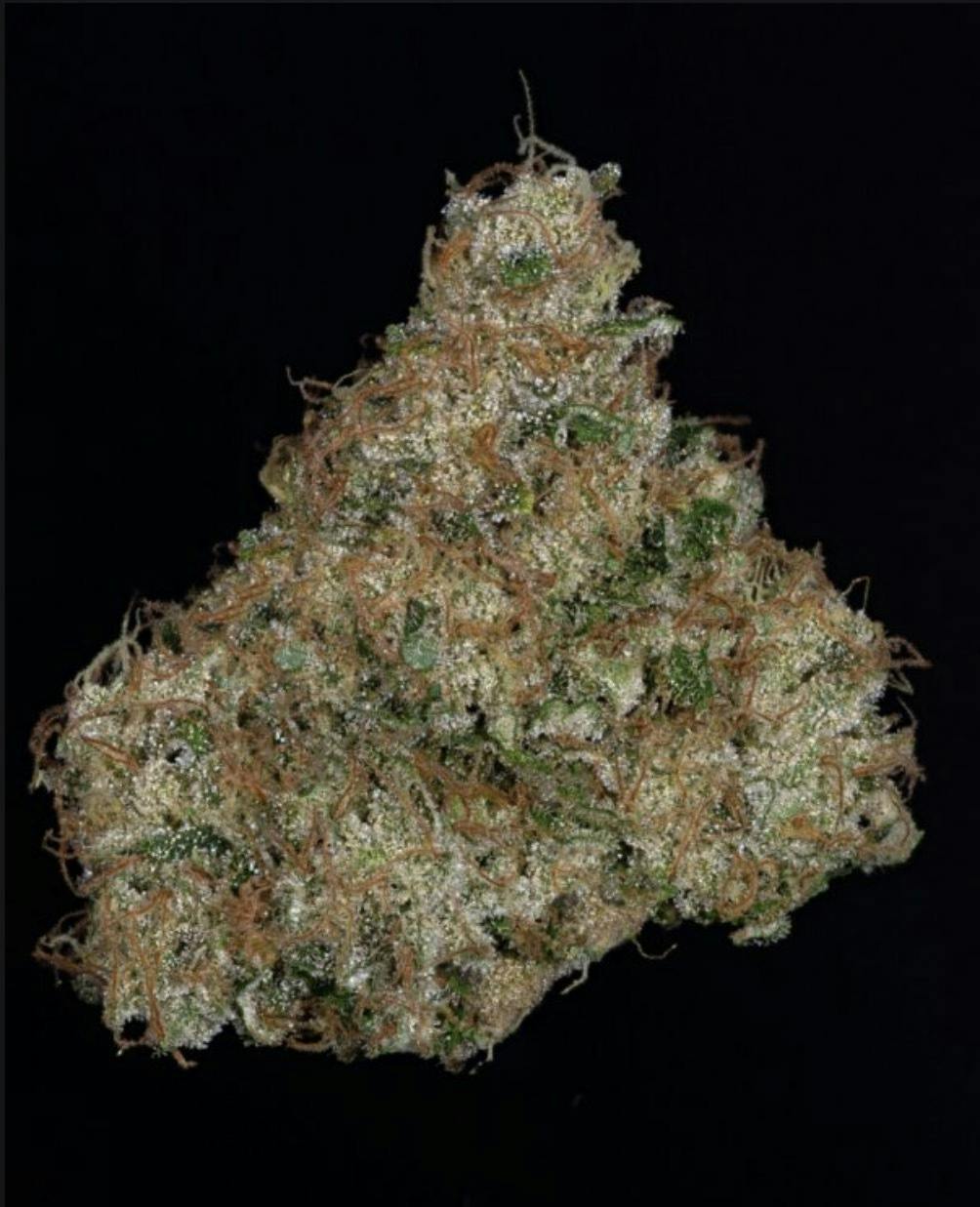 Thicc Moon Crusher | (3.5G) Double Krush x Moonbow #112 IX
