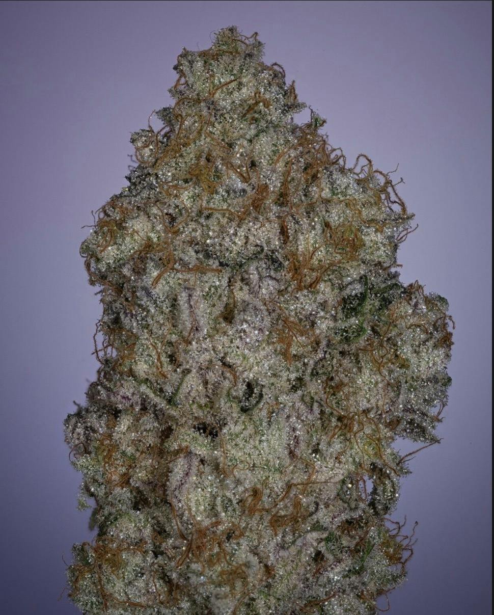 THICC Y'allternative | 3.5g Oklahoma Heat x Grape Jelly Donut