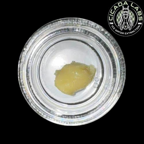 Cicada Live Rosin Batter - Dantes Inferno