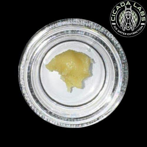 Cicada Live Rosin Batter - White Inferno CL0603