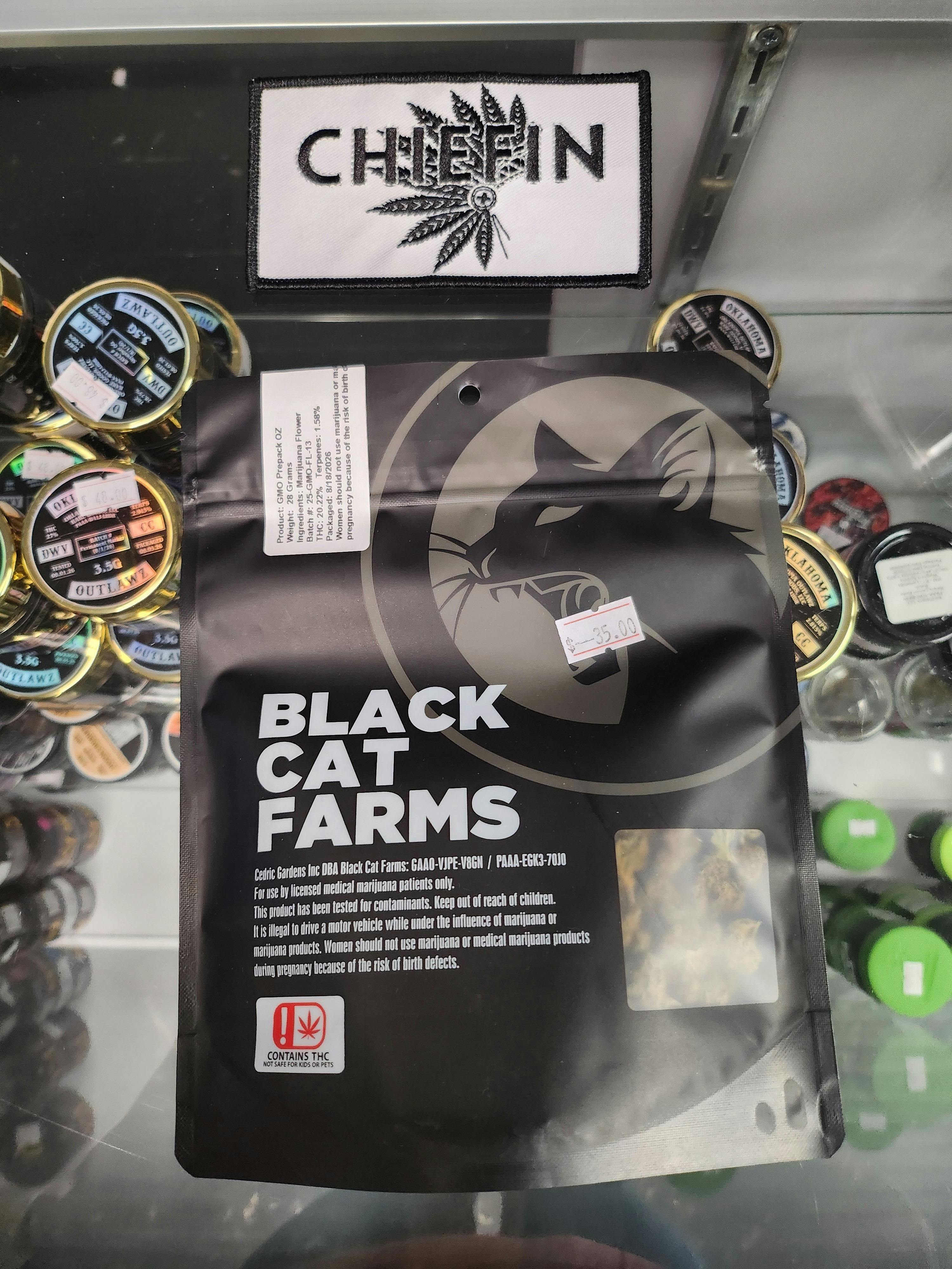 Black Cat Gmo