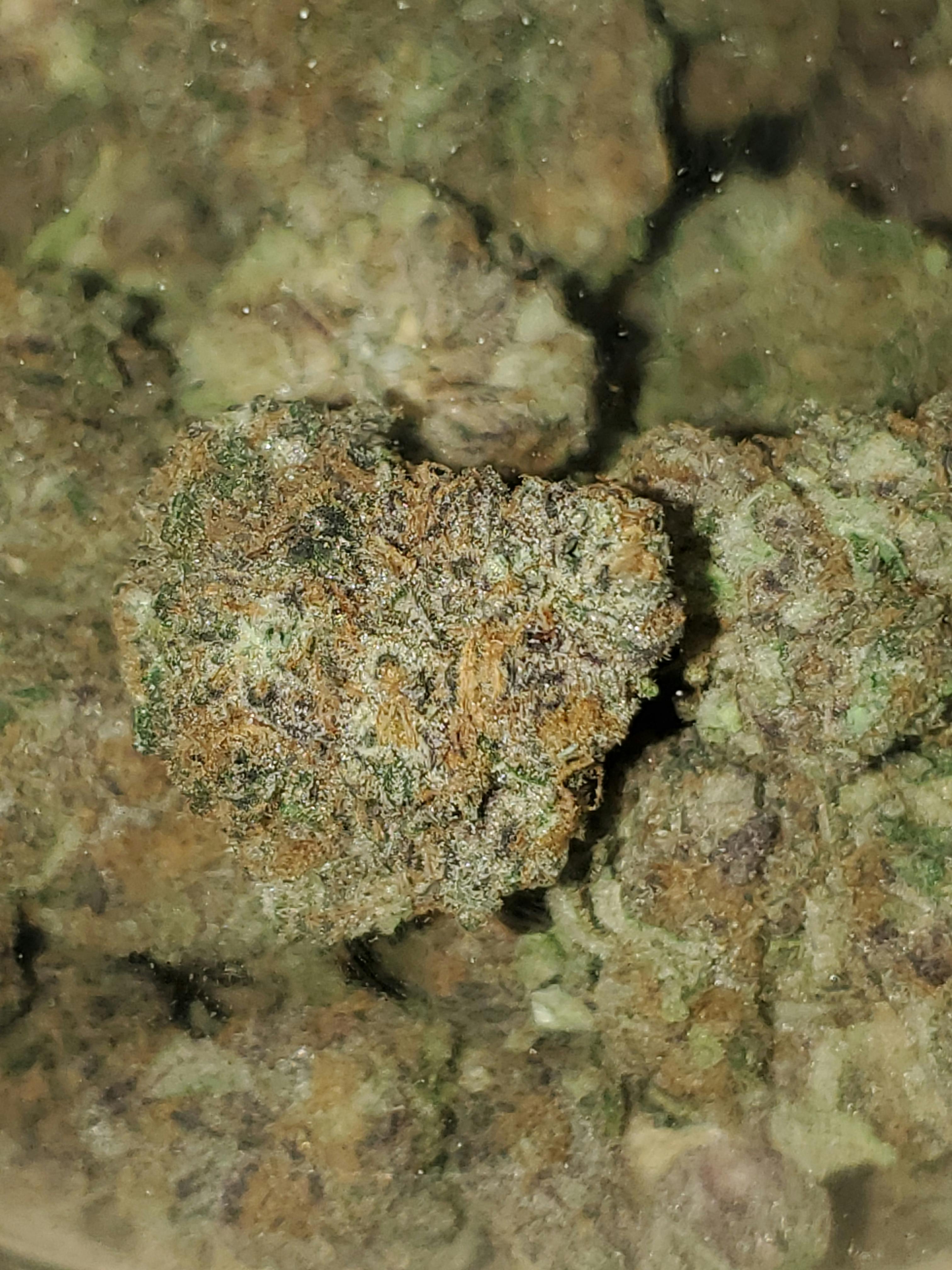 THICC: CANDY PAINT 3.5G at GREEN ST . Dispensary
