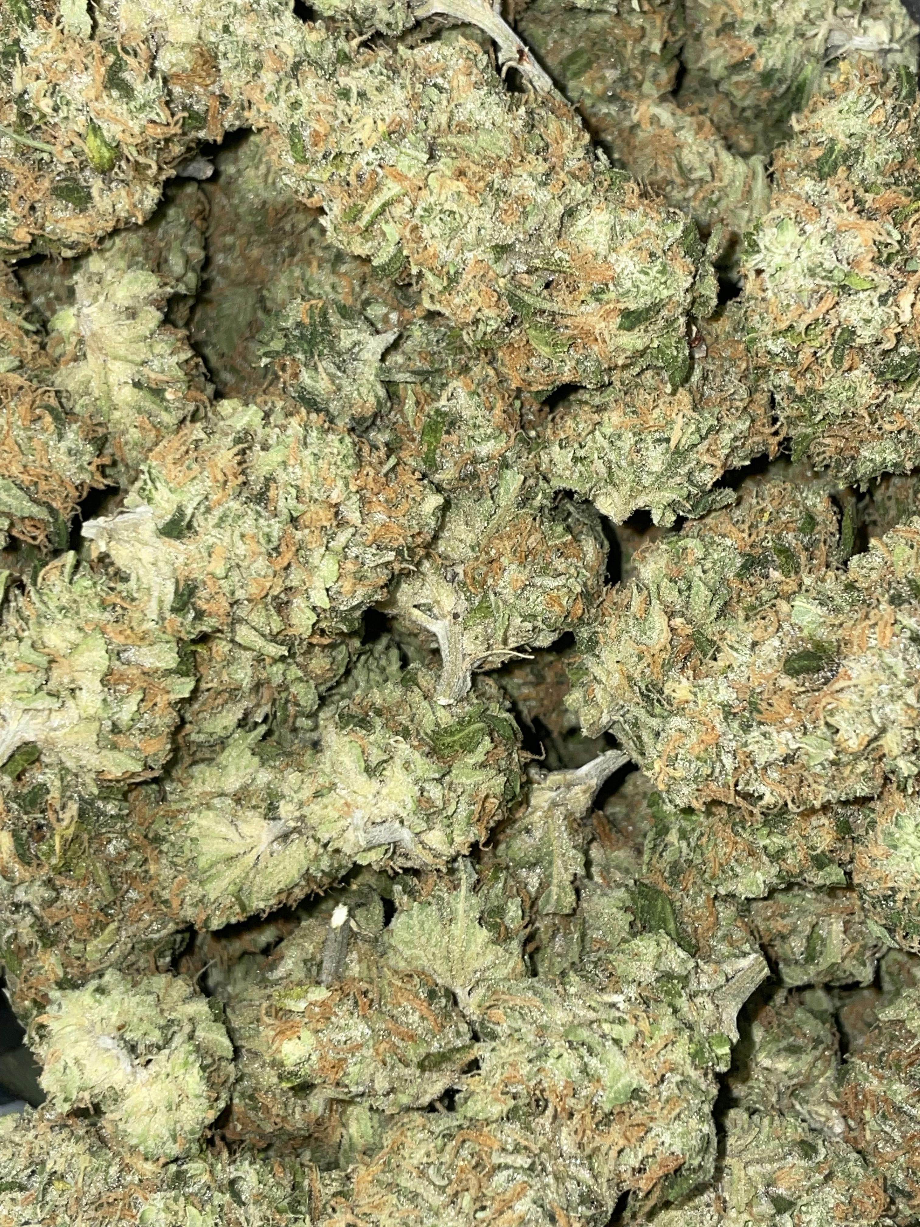 F5 Farms | Maui Wowie (S) | Big Buds | 3.5g by F5 Farms