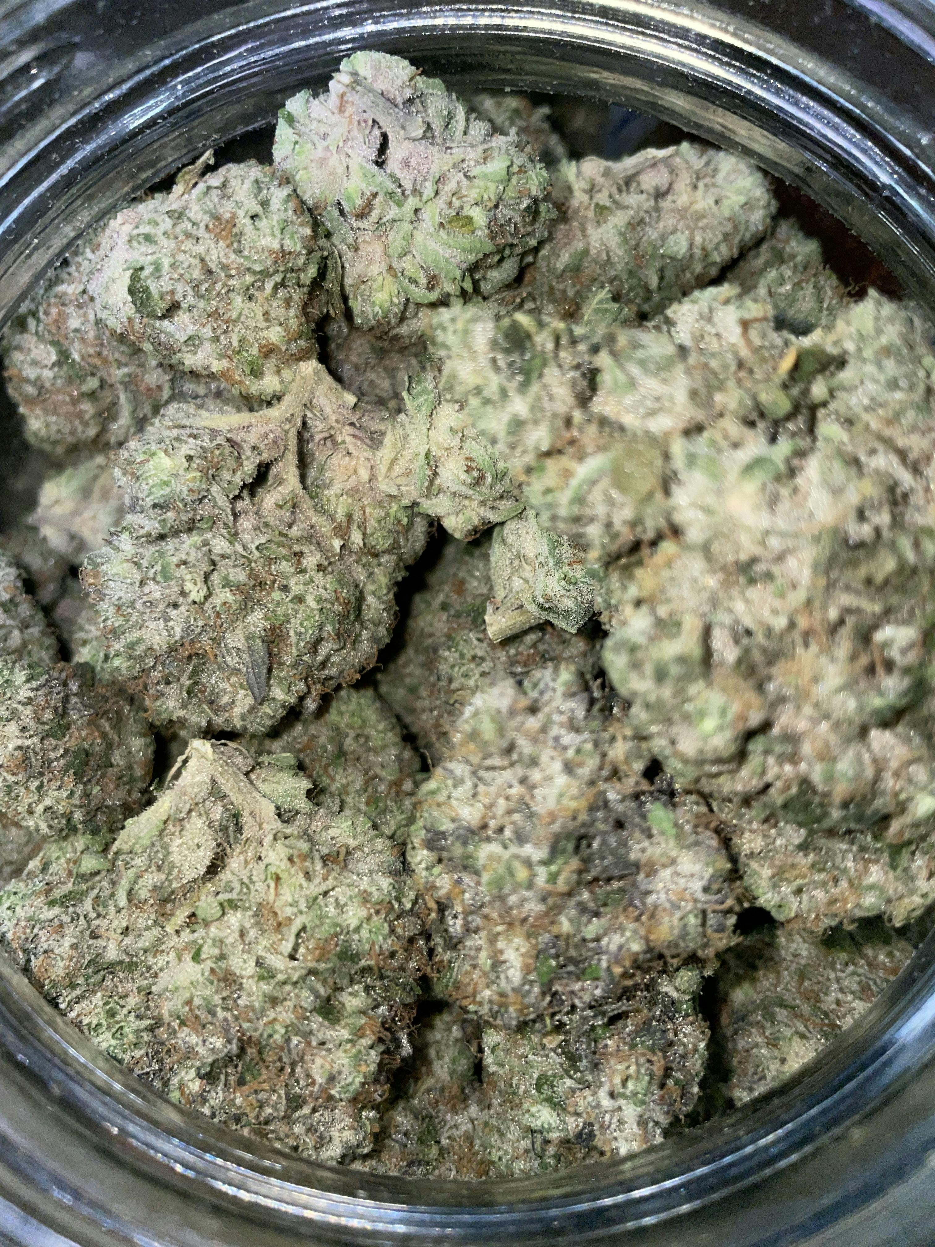 F5 Farms | Bananza (S) | Big Buds | 3.5g by F5 Farms