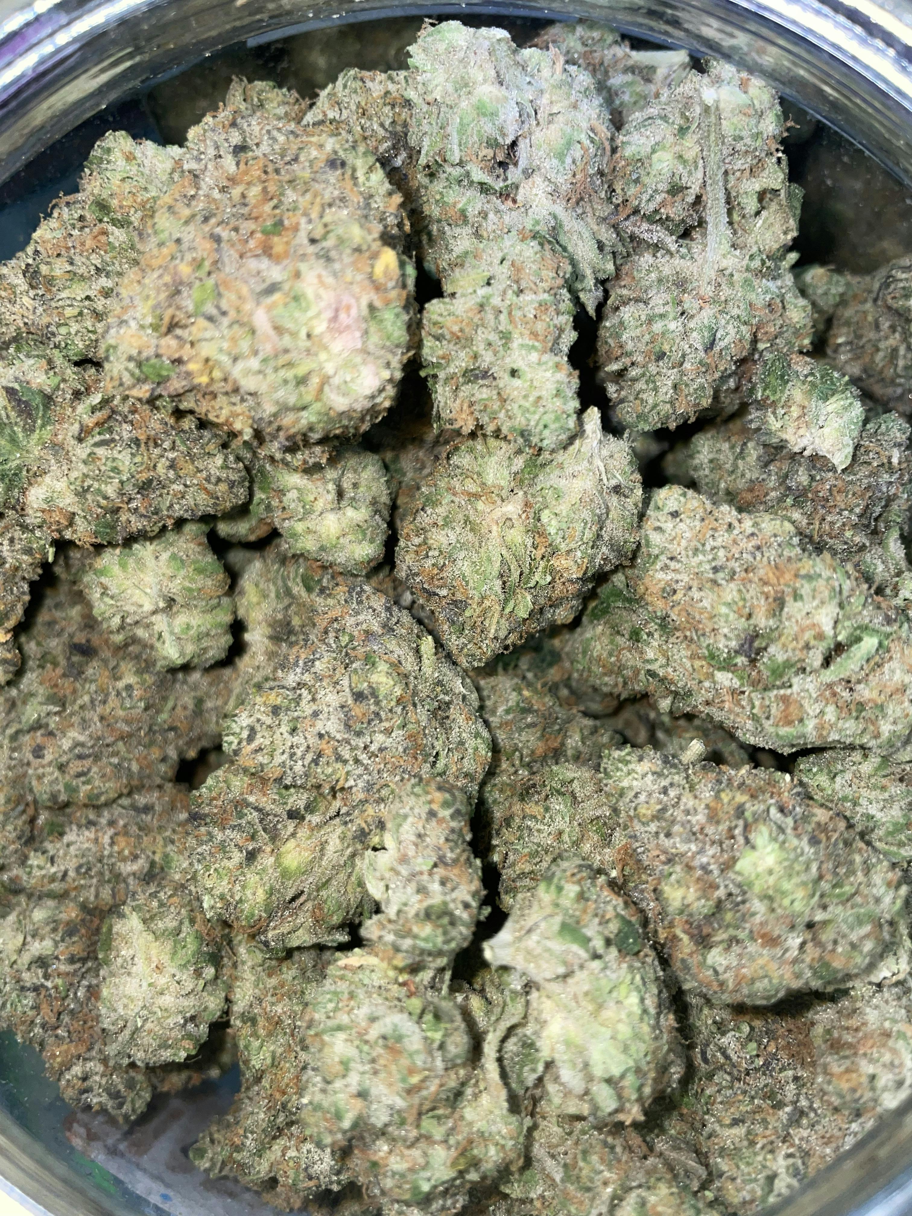 F5 Farms | Peanut Butter Poop (I) | Big Buds | 3.5g by F5 Farms