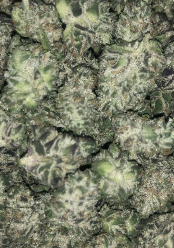 ALTVM | Stanky Ass | Flower | 7g
